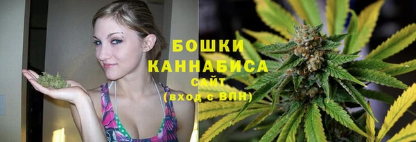 гидра Пенза