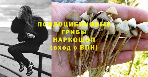 дурь Заводоуковск