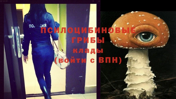 прущая мука Елизово