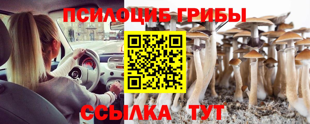 Галлюциногенные грибы мицелий Богданович