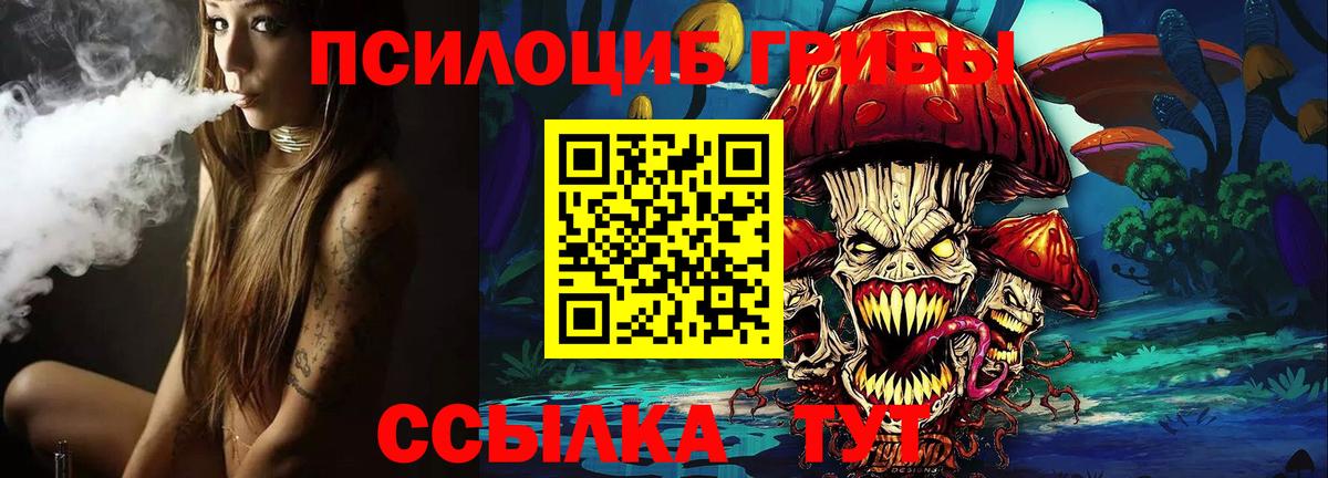 Псилоцибиновые грибы GOLDEN TEACHER  Богданович 